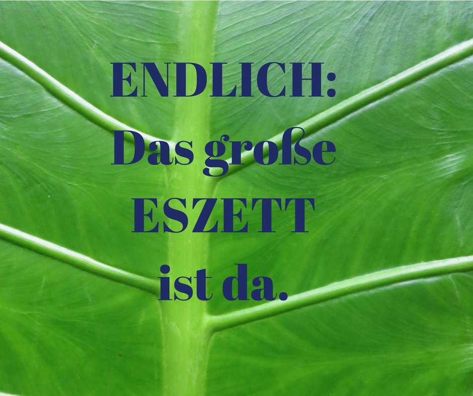 ENDLICH_ Das große ESZETT ist da.